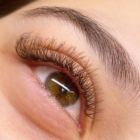 Cílios volume brasileiro marrom, close-up do olhar, trabalho do studio